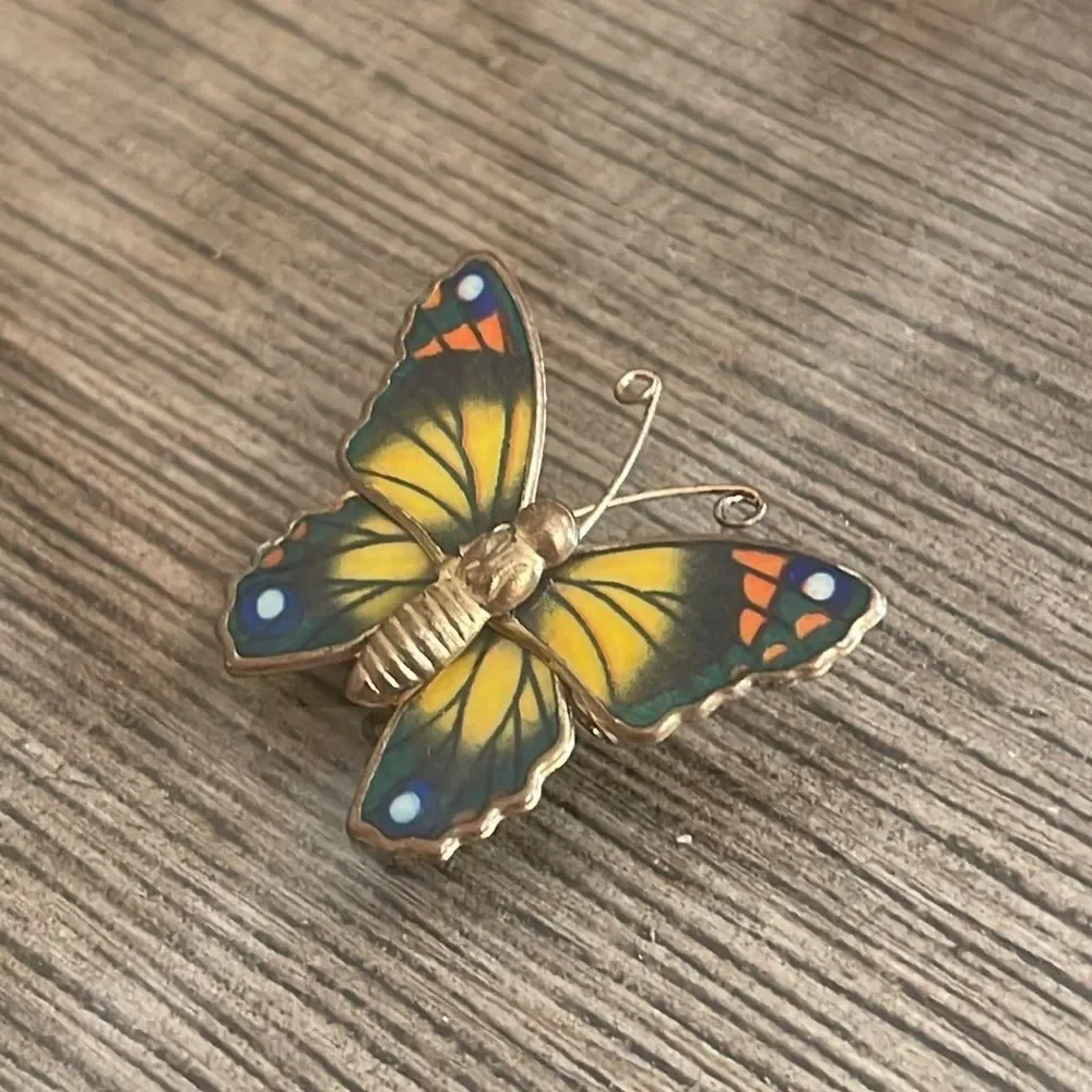 Vintage Colorful Butterfly Pin Resin Wings